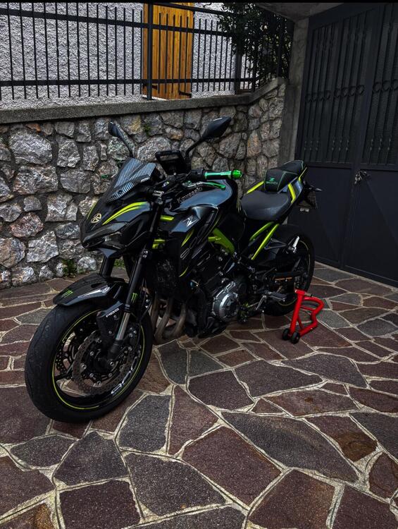 Kawasaki Z 900 Performance (2019)