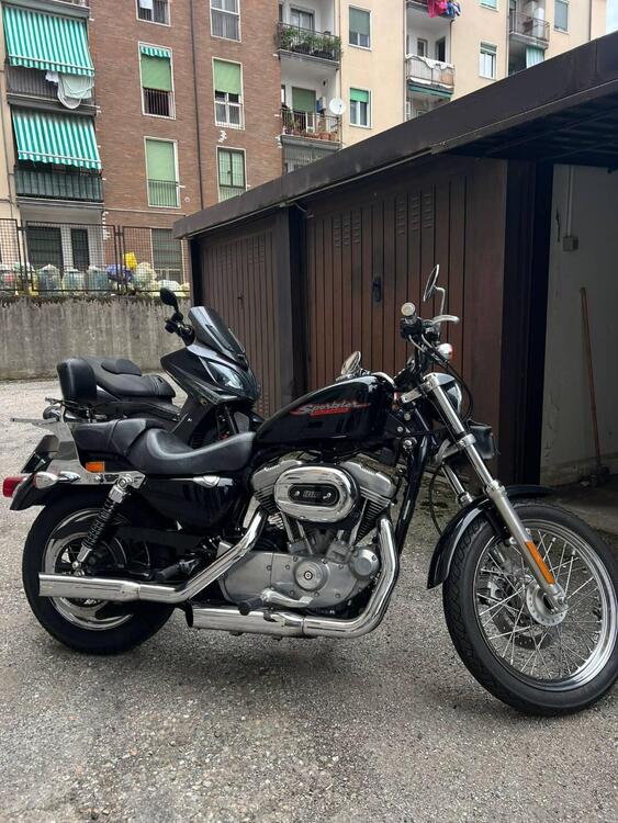 Harley-Davidson 883 (2006 - 07) - XL (3)