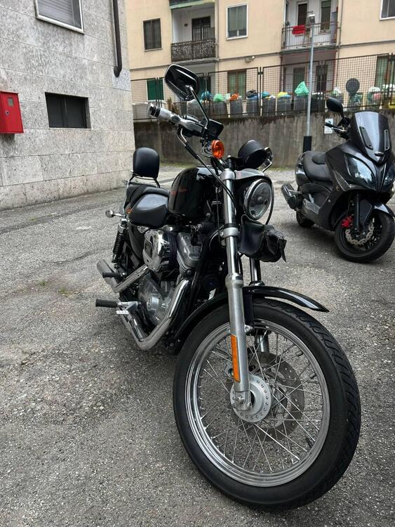 Harley-Davidson 883 (2006 - 07) - XL (5)