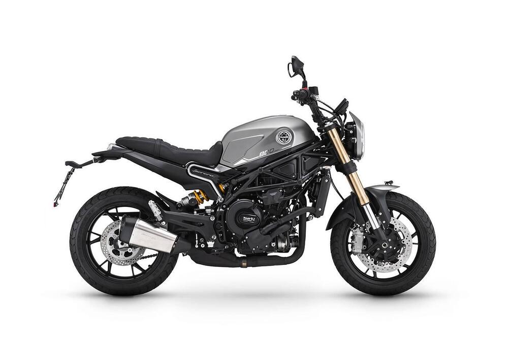 Benelli Leoncino 800 (2022 - 25)