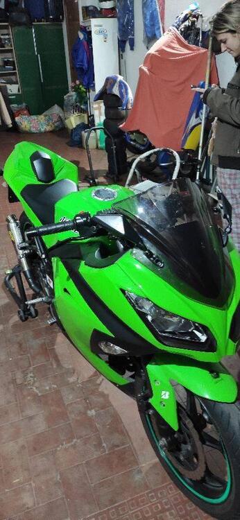 Kawasaki Ninja 300 (2012 - 14)