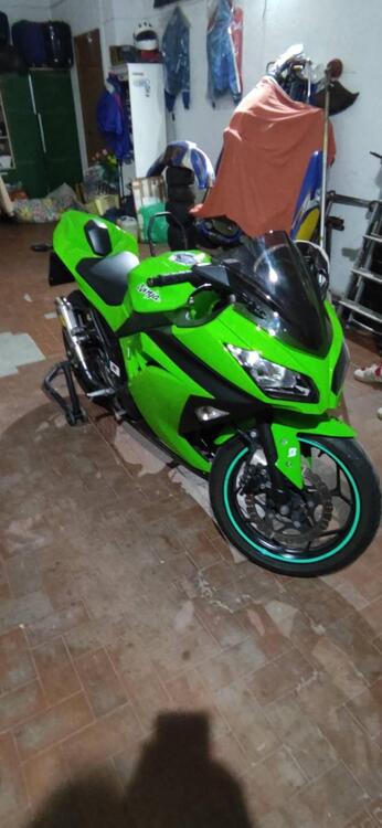 Kawasaki Ninja 300 (2012 - 14) (2)