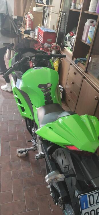 Kawasaki Ninja 300 (2012 - 14) (3)