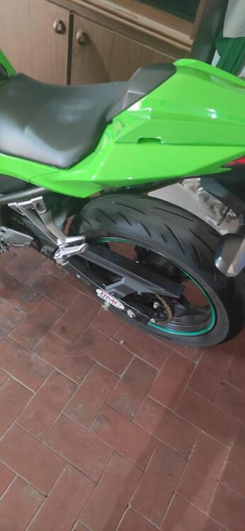 Kawasaki Ninja 300 (2012 - 14) (4)