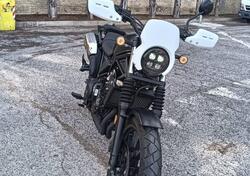 Honda CL500 (2023 - 24) usata