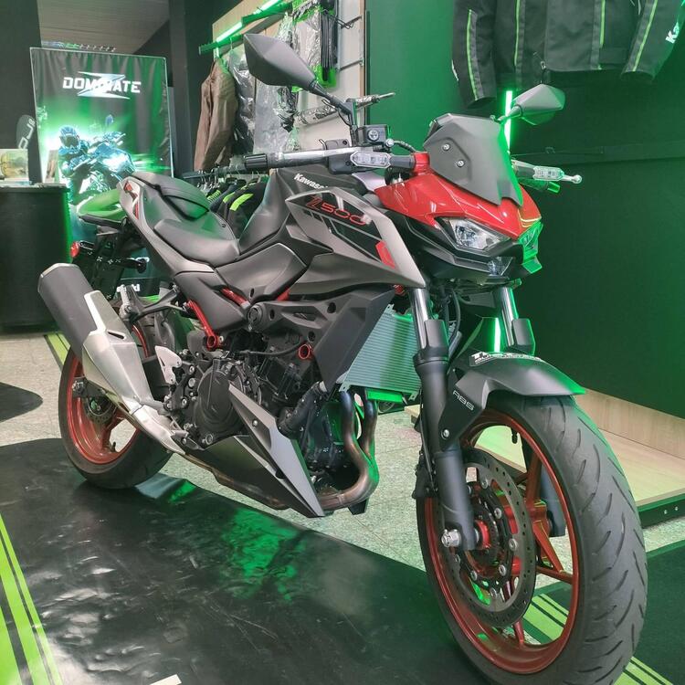 Kawasaki Z 500 SE (2024 - 26)