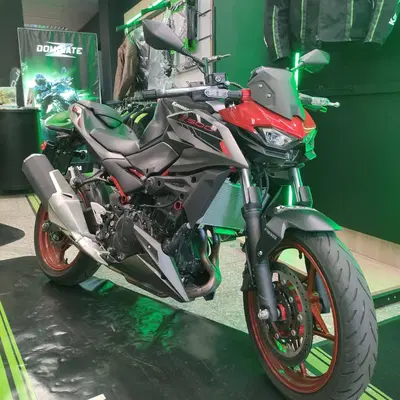 Kawasaki Z 500 SE (2024 - 26) usata