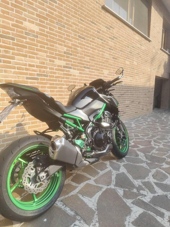 Kawasaki Z 900 (2021 - 24) (5)