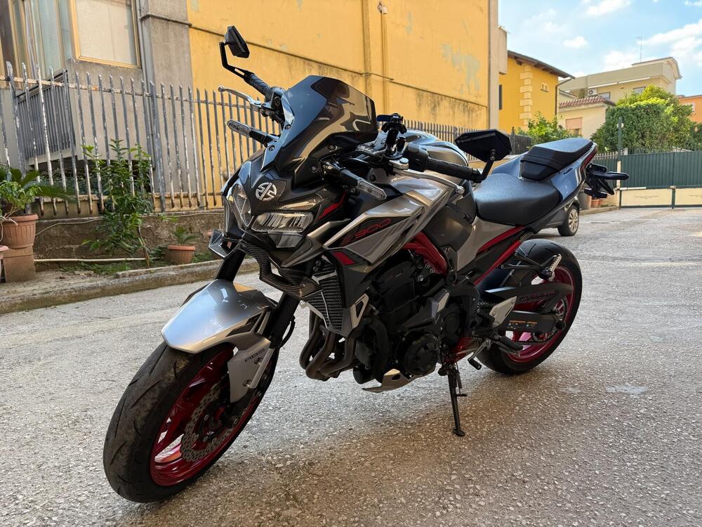 Kawasaki Z 900 Performance (2021 - 24)