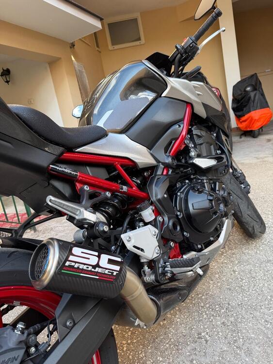 Kawasaki Z 900 Performance (2021 - 24) (3)