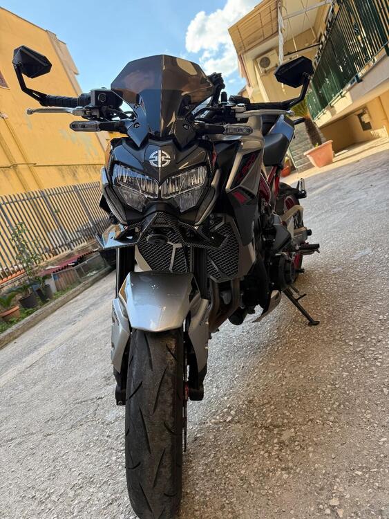 Kawasaki Z 900 Performance (2021 - 24) (4)