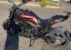 Benelli 502 C (2019 - 20) usata
