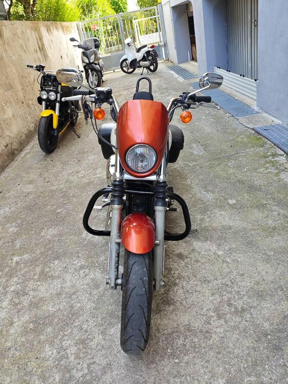 Harley-Davidson 883 SuperLow (2010 - 16) - XL 883L (2)