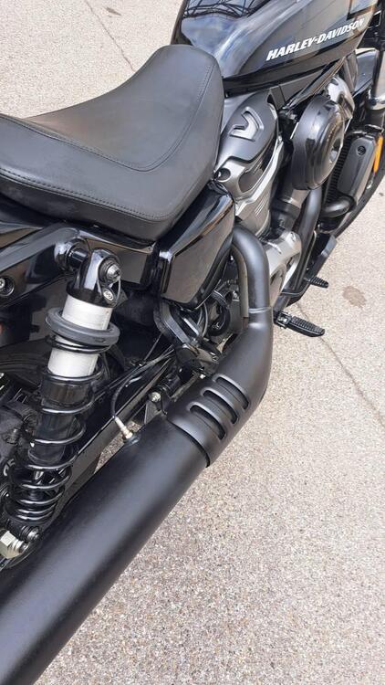 Harley-Davidson Nightster Special (2023 - 25) (3)