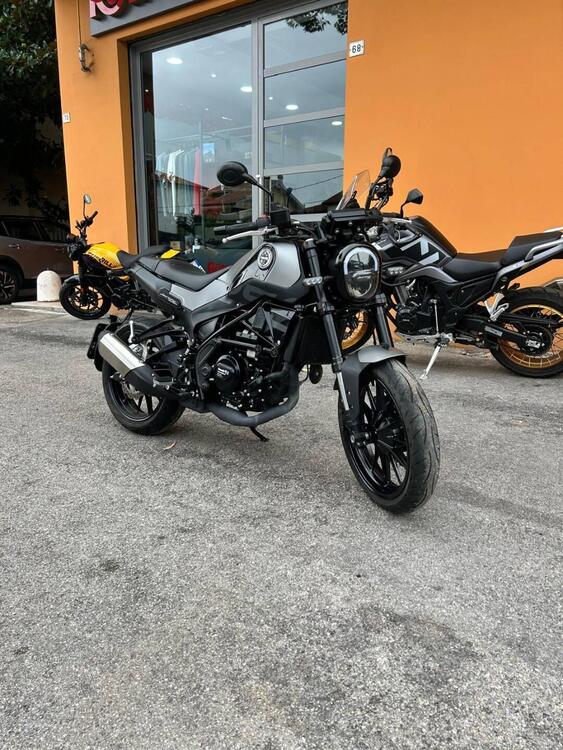 Benelli Leoncino 250 (2021 - 25) (2)