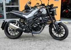 Benelli Leoncino 250 (2021 - 25) usata