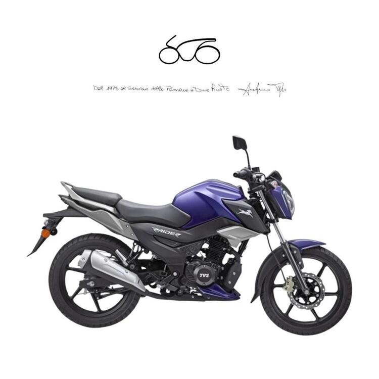 TVS Motor Raider 125 (2024 - 25)