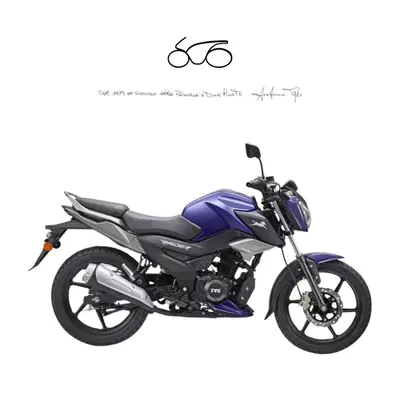 TVS Motor Raider 125 (2024 - 26) nuova