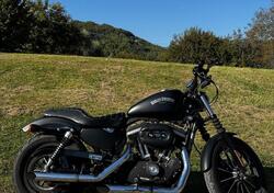 Harley-Davidson 883 Iron (2012 - 14) - XL 883N usata