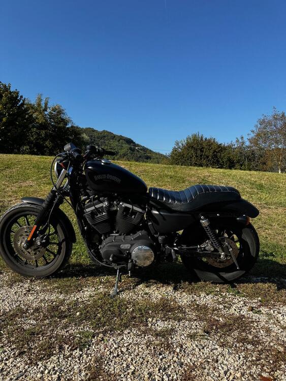 Harley-Davidson 883 Iron (2012 - 14) - XL 883N (3)