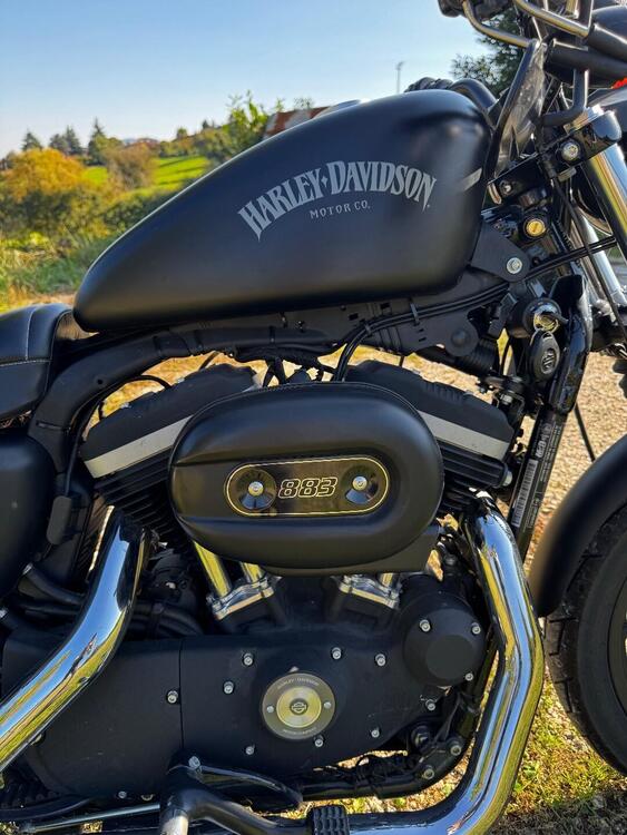 Harley-Davidson 883 Iron (2012 - 14) - XL 883N (4)