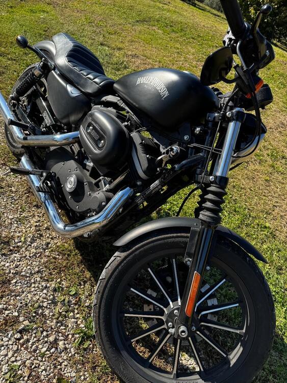 Harley-Davidson 883 Iron (2012 - 14) - XL 883N (5)