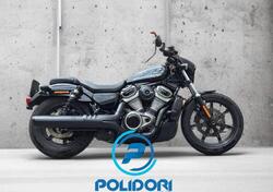Harley-Davidson Nightster Special (2023 - 25) usata