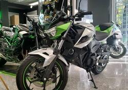 Kawasaki Z e-1 (2024 - 25) usata