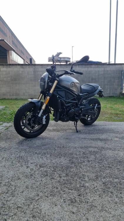 Benelli Leoncino 800 (2022 - 25)