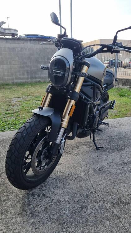 Benelli Leoncino 800 (2022 - 25) (2)