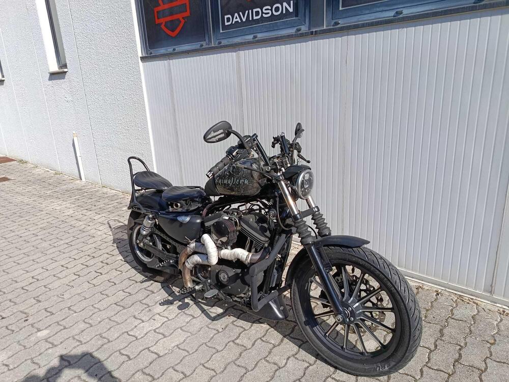 Harley-Davidson 883 Iron (2012 - 14) - XL 883N (2)