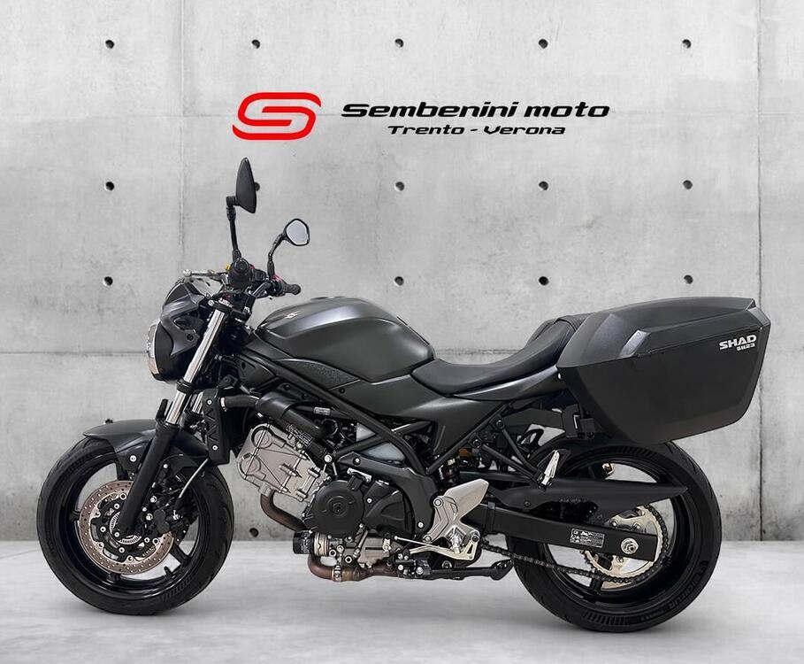Suzuki SV 650 (2016 - 20) (4)