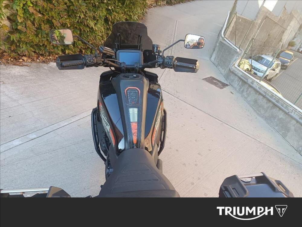 Harley-Davidson Pan America 1250 Special (2020 - 25) (5)