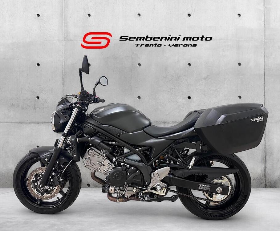 Suzuki SV 650 (2016 - 20) (4)