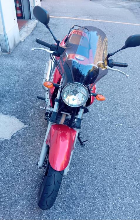 Yamaha YBR 250 (2006 - 13) (4)