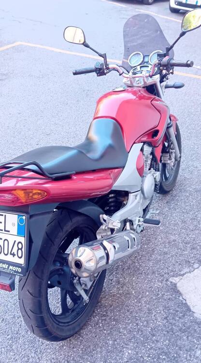 Yamaha YBR 250 (2006 - 13) (5)