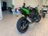 Kawasaki Z 750 R (2011 - 14) (17)
