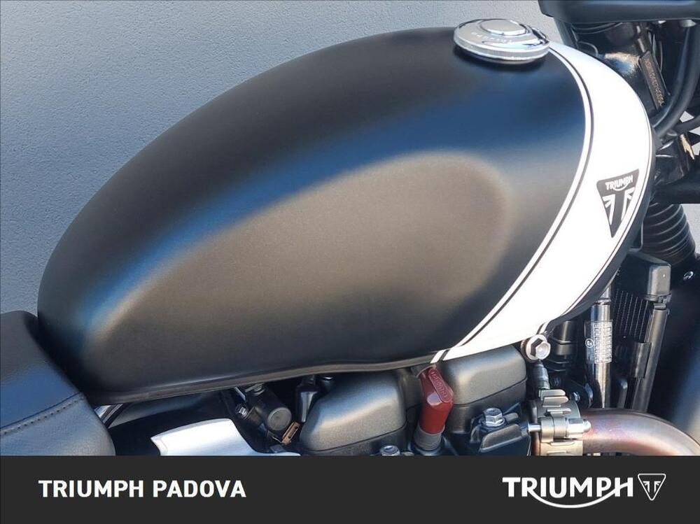 Triumph Speed Twin 900 (2023 - 24) (4)