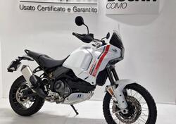 Ducati DesertX (2022 - 25) usata