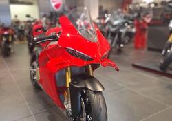 Ducati Panigale V4 S (2025) nuova