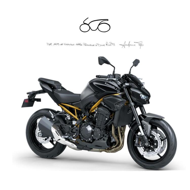Kawasaki Z 900 A2 (2025 - 26)