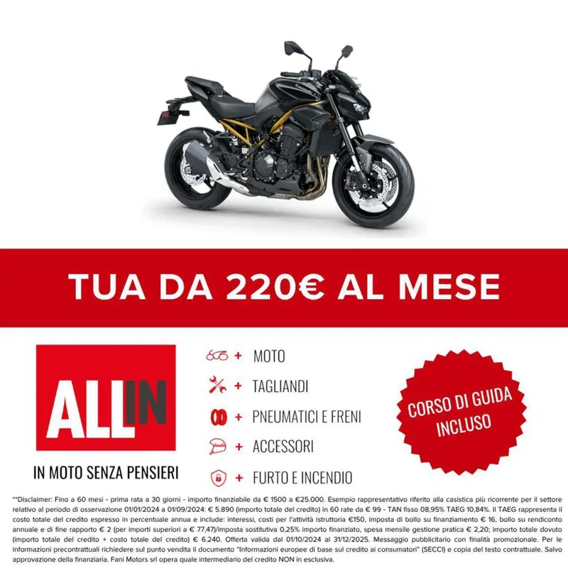 Kawasaki Z 900 A2 (2025 - 26) (2)
