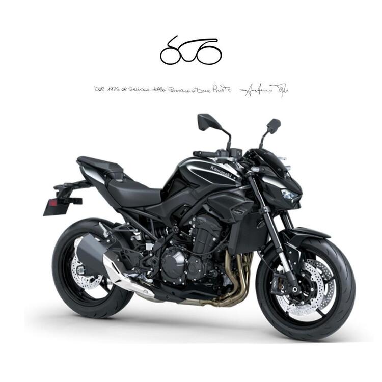 Kawasaki Z 900 (2025 - 26)