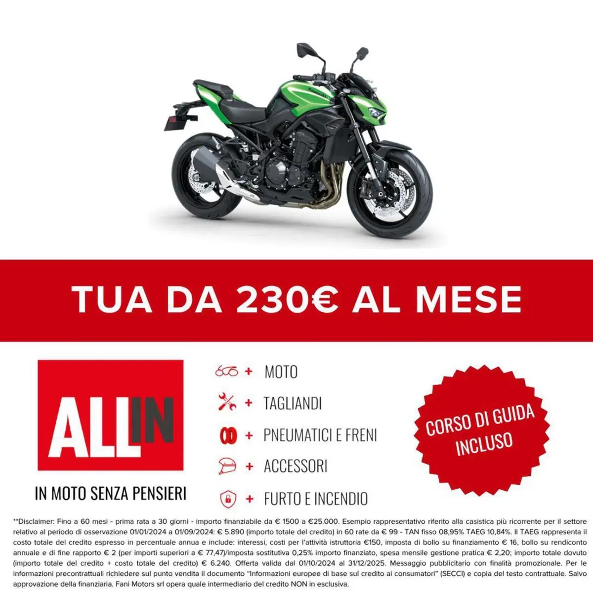 Kawasaki Z 900 (2025 - 26) (2)