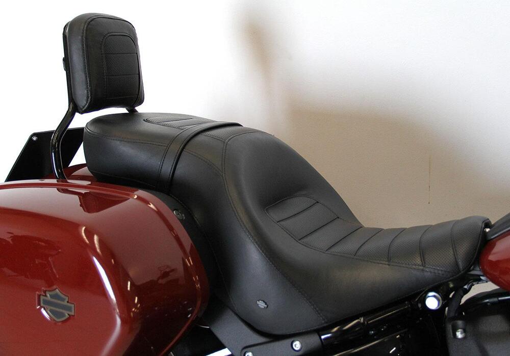 Harley-Davidson Low Rider ST (2022 - 24) (5)