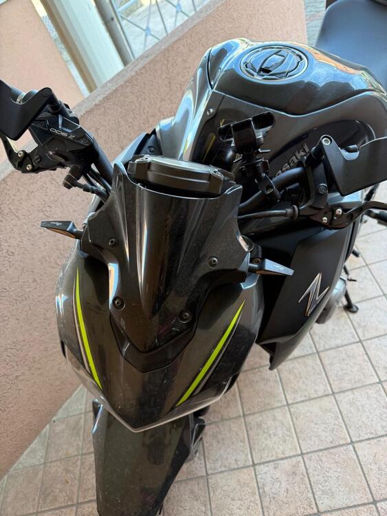 Kawasaki Z 900 (2017 - 18) (2)