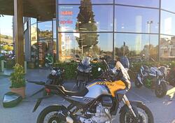 Moto Guzzi Stelvio PFF (2024 - 25) usata