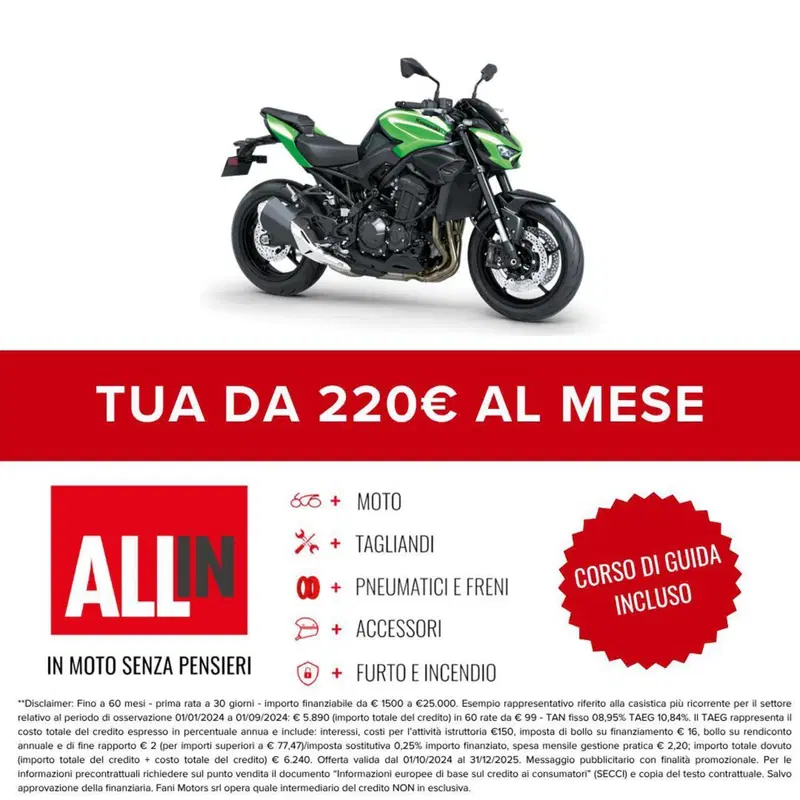 Kawasaki Z 900 A2 (2025 - 26) (2)