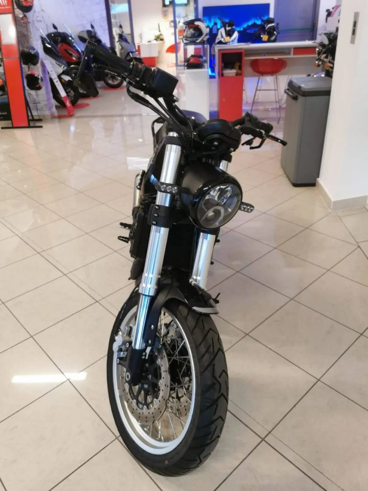 Benelli Leoncino 500 Trail (2021 - 26) (5)