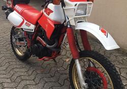 Yamaha XT 600 4V (1986 - 89) usata